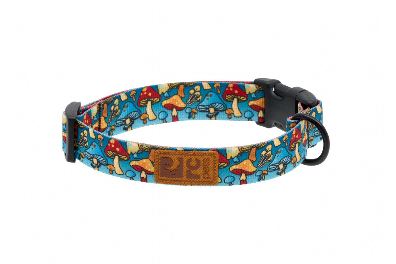 Rc Pets Collier Éco