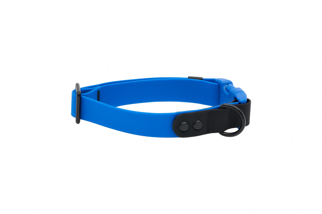 RC Pets Collier Étanche