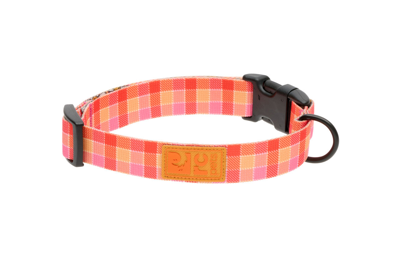Rc Pets Collier Éco
