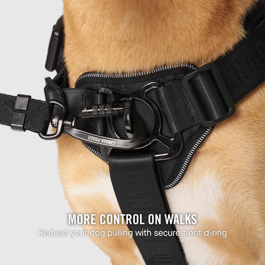 Canada Pooch® Harnais de contrôle complet