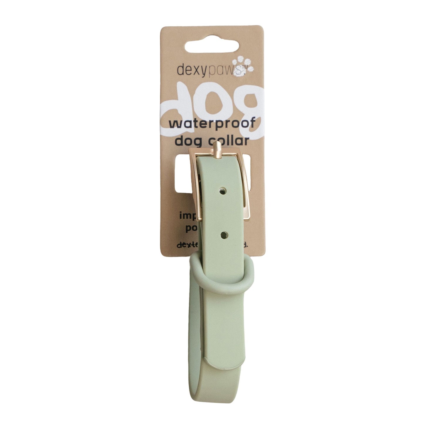Dexypaws Collier Imperméable Pour Chien, Couleur Vert Sauge
