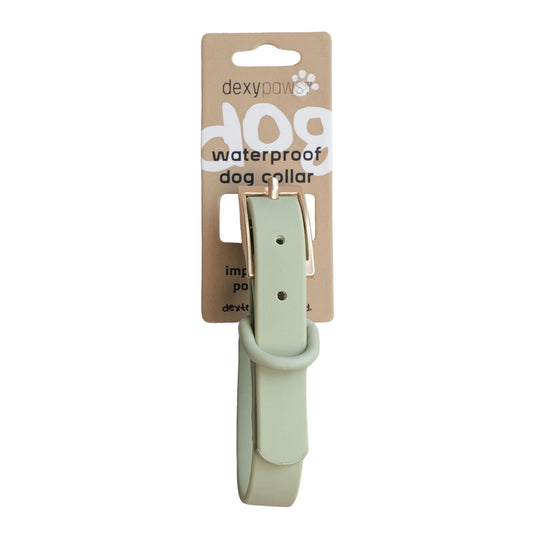 Dexypaws Collier Imperméable Pour Chien, Couleur Vert Sauge