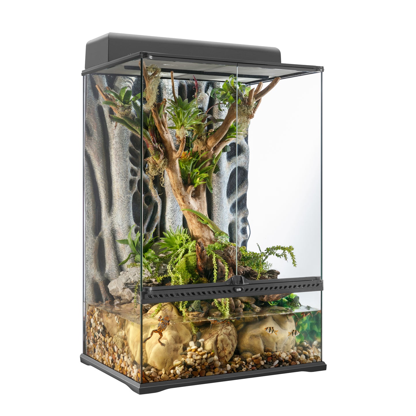 Terrarium de forêt tropicale et paludarium de pointe Exo Terra, moyen, très haut, 60 x 45 x 90 cm (24 x 18 x 36 po)