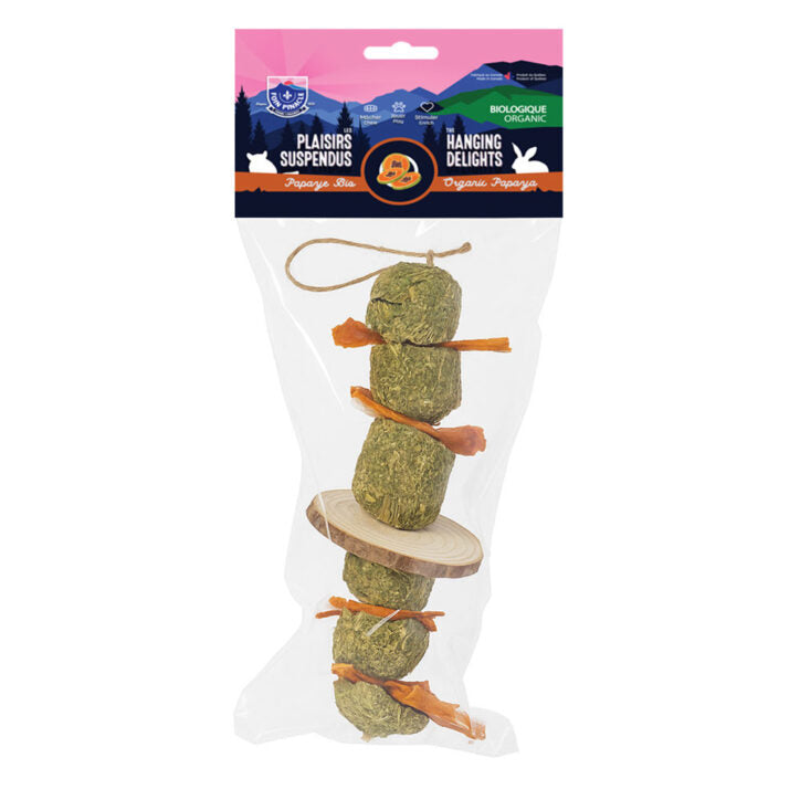 Délices suspendus pour petits animaux papaye bio