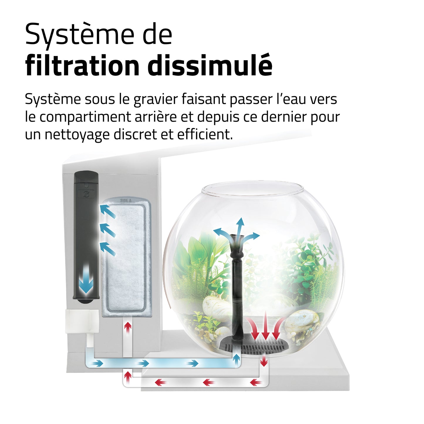 Aquarium équipé LIV Fluval pour l’aménagement miniature, blanc, 33 x 31,75 cm (13 x 12,5 po)