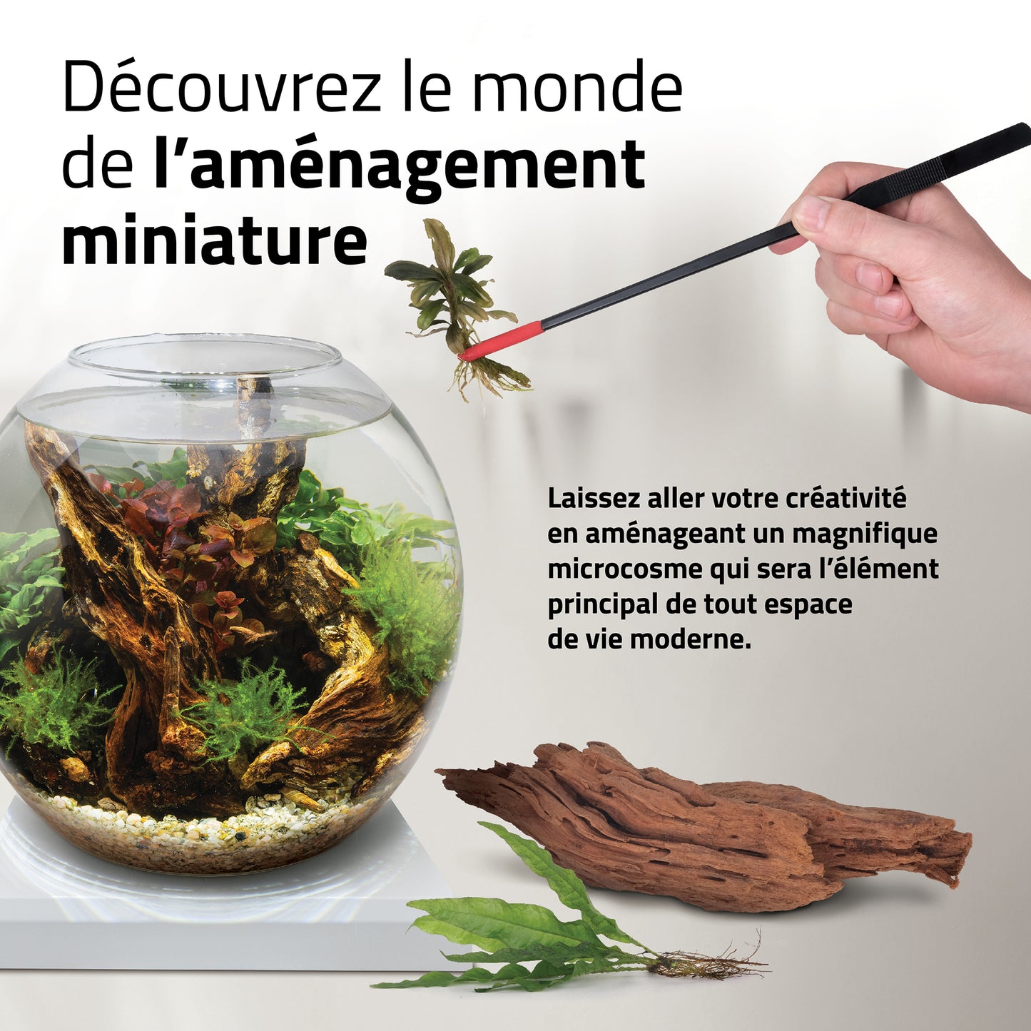 Aquarium équipé LIV Fluval pour l’aménagement miniature, blanc, 33 x 31,75 cm (13 x 12,5 po)