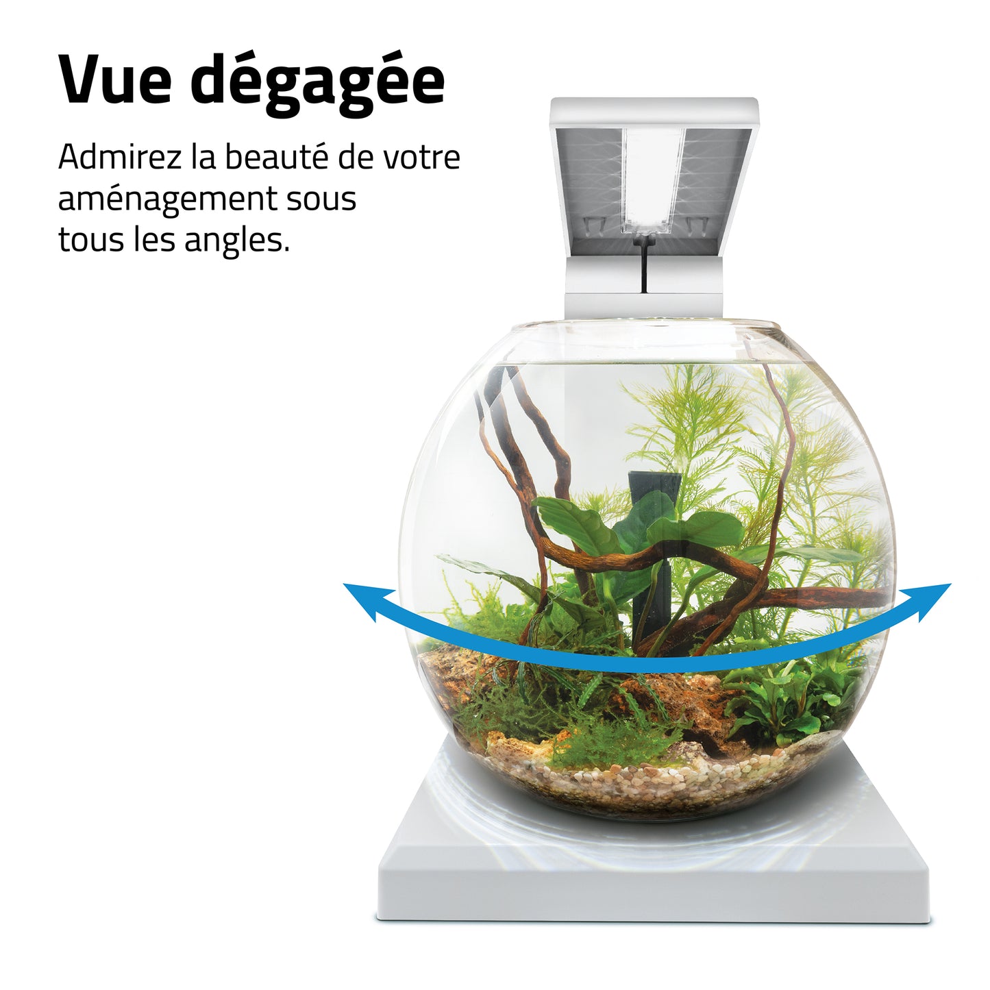 Aquarium équipé LIV Fluval pour l’aménagement miniature, blanc, 33 x 31,75 cm (13 x 12,5 po)