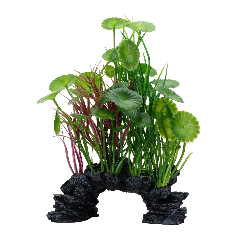 Lysimaque verte Deco Scapes Aqualife Fluval, 15-20 cm (6-8 po)