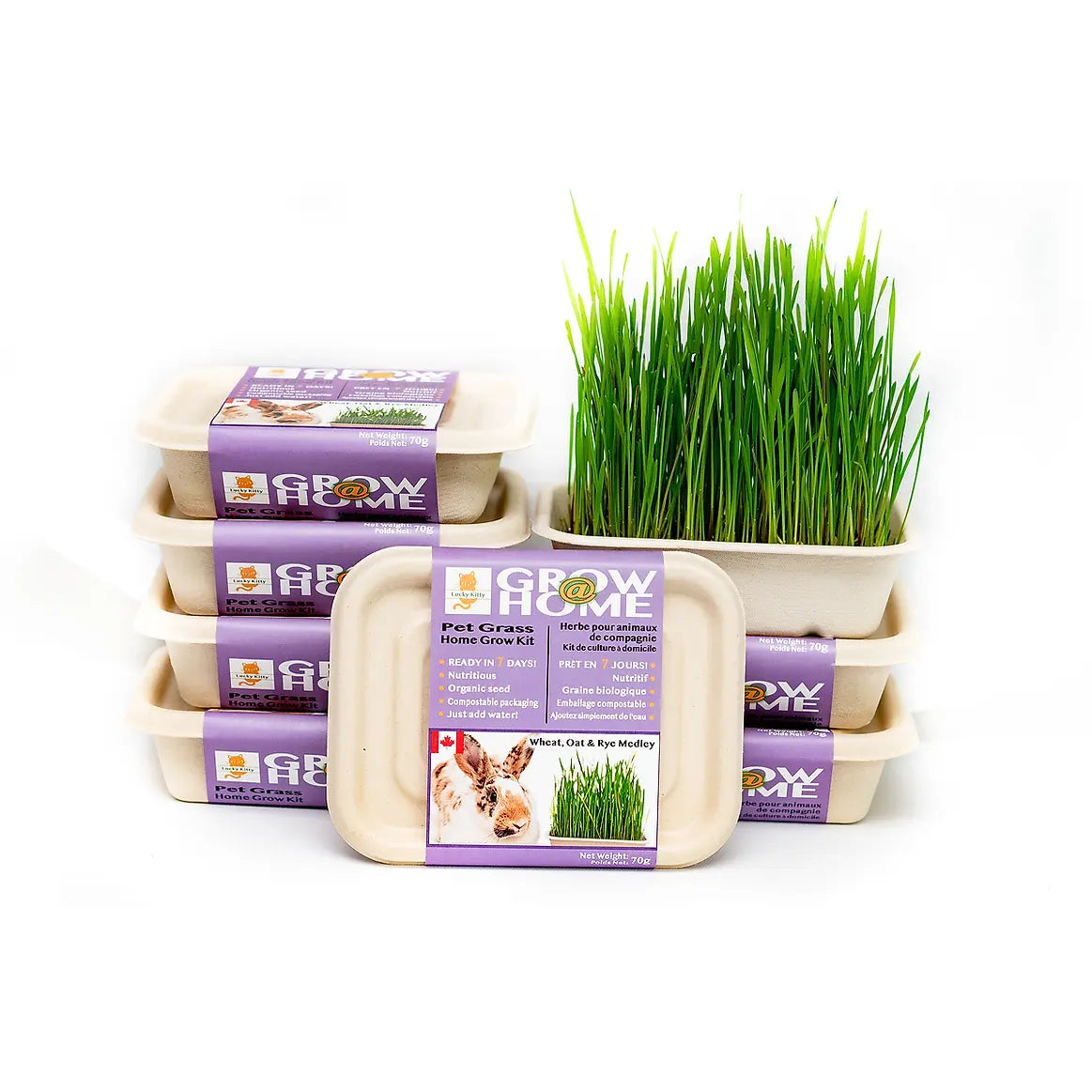 Kit D'Herbe A Chat 70G