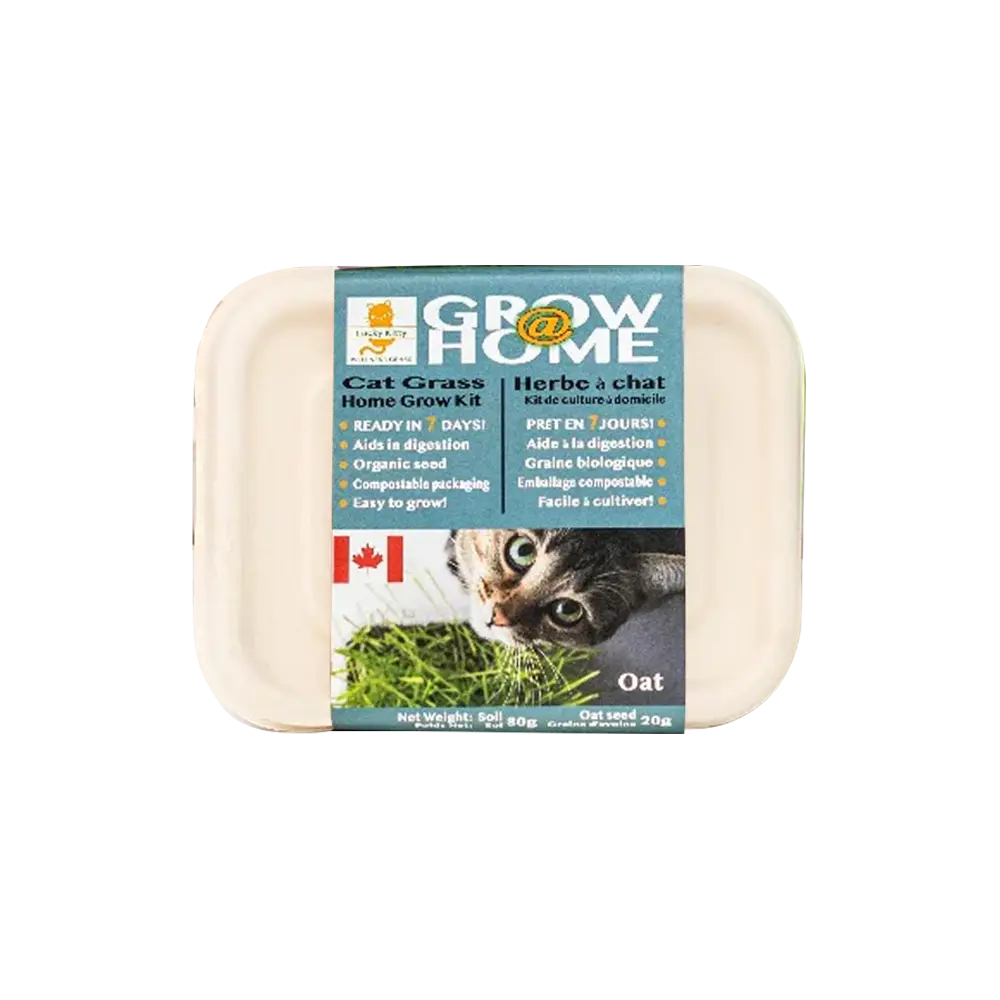 Kit D'Herbe A Chat 70G