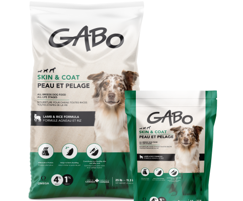 Gabo Nourriture Pour Chien & Chiot, Peau & Pelage, Agneau Et Riz 8lbs