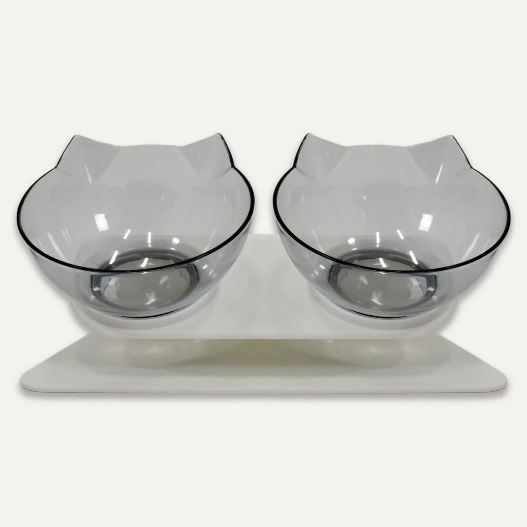 Mangeoire ergonomique pour chat à double bol