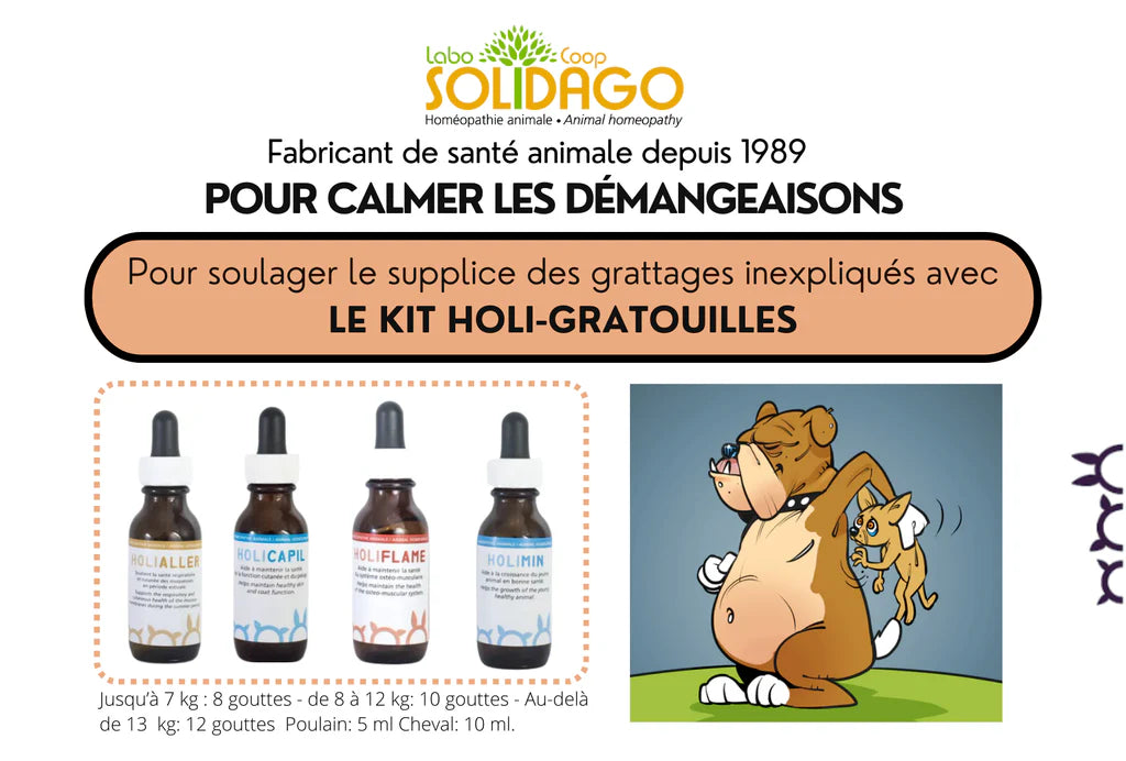 Holidago Kit Holi-Gratouilles