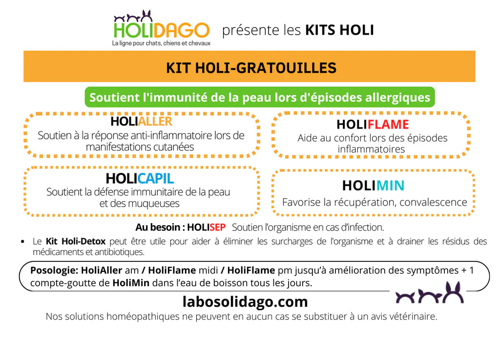 Holidago Kit Holi-Gratouilles