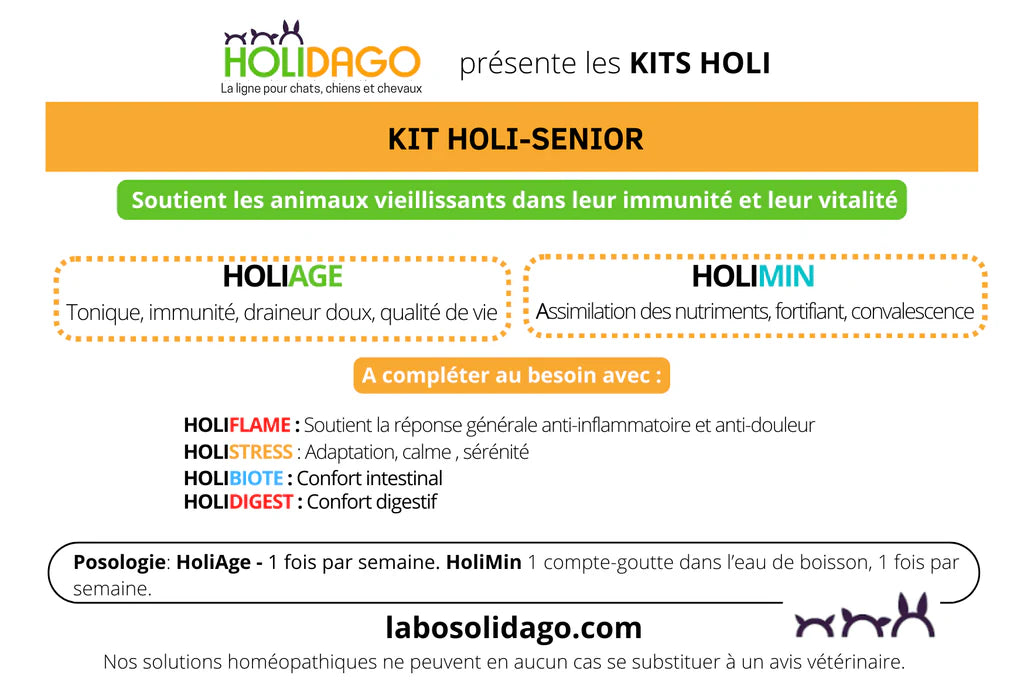 Holidago Kit Holi Sénior