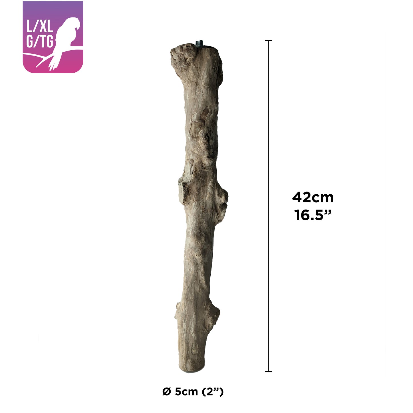 Perchoir HARI en bois de caféier, Convenant aux perroquets de grande à très grande taille, 42 cm (16,5 po)