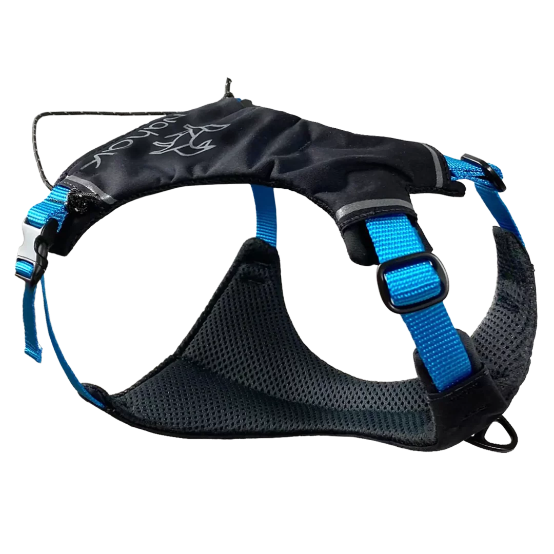 Nahak harnais pour petits chiens