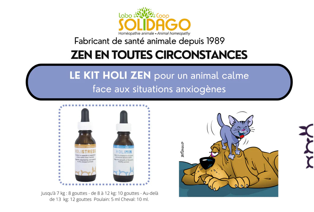 Holidago Kit Holi-Zen