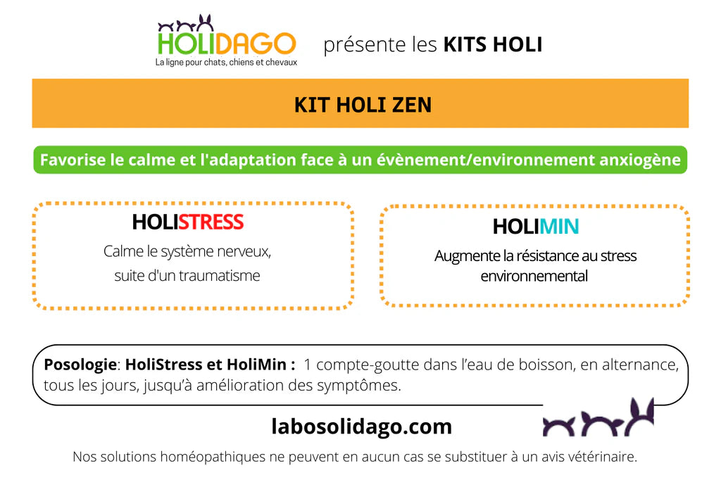 Holidago Kit Holi-Zen