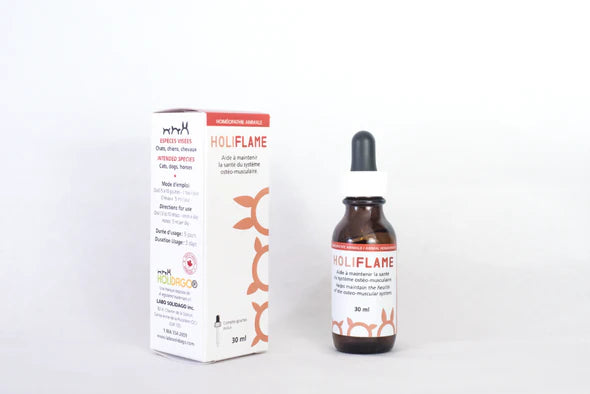Holidago Kit Pipi-Holi