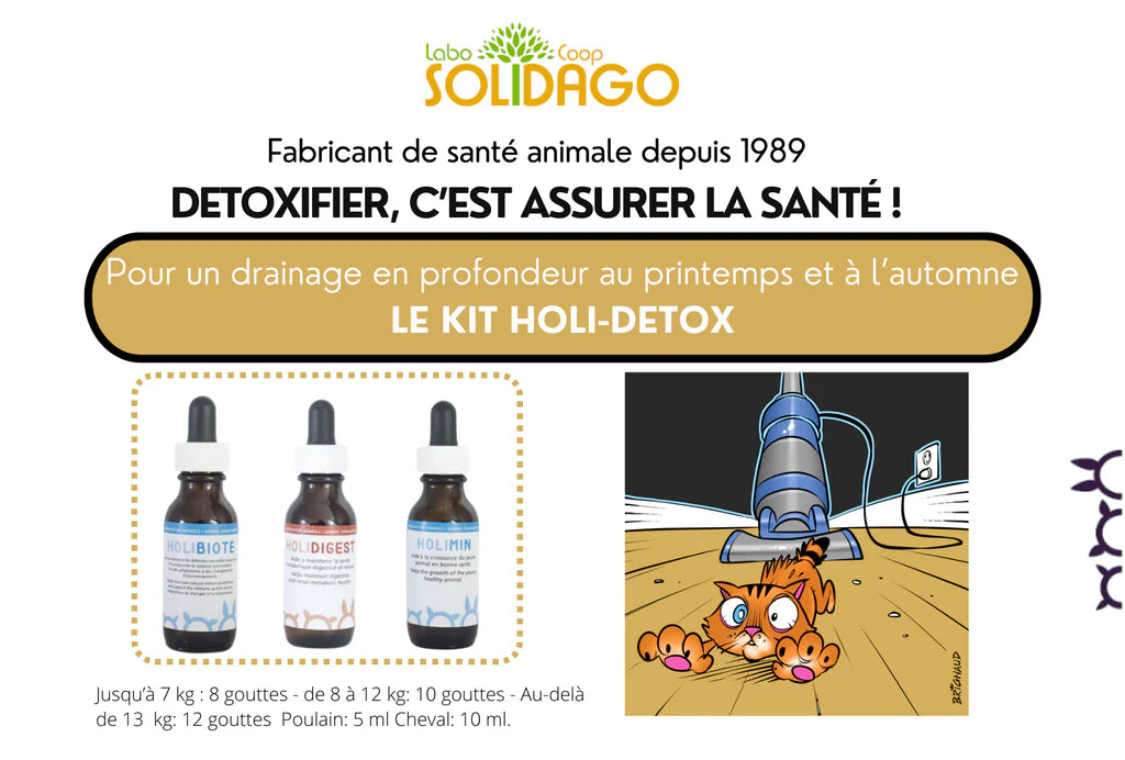 Holidago Kit Holi-Détox