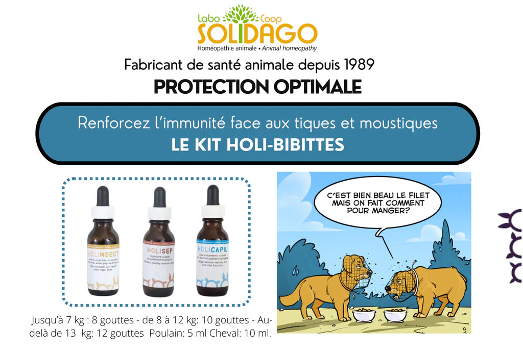 Holidago Kit Holi Bibittes
