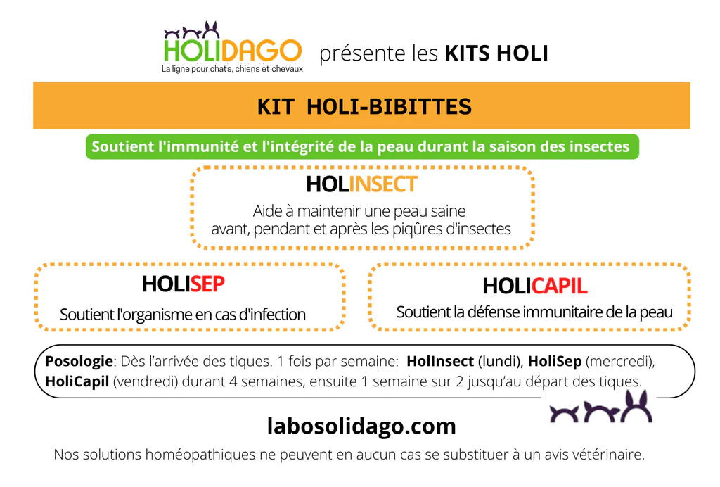 Holidago Kit Holi Bibittes