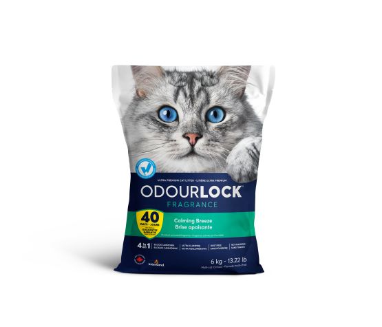 Intersand Odourlock Litiere pour chat