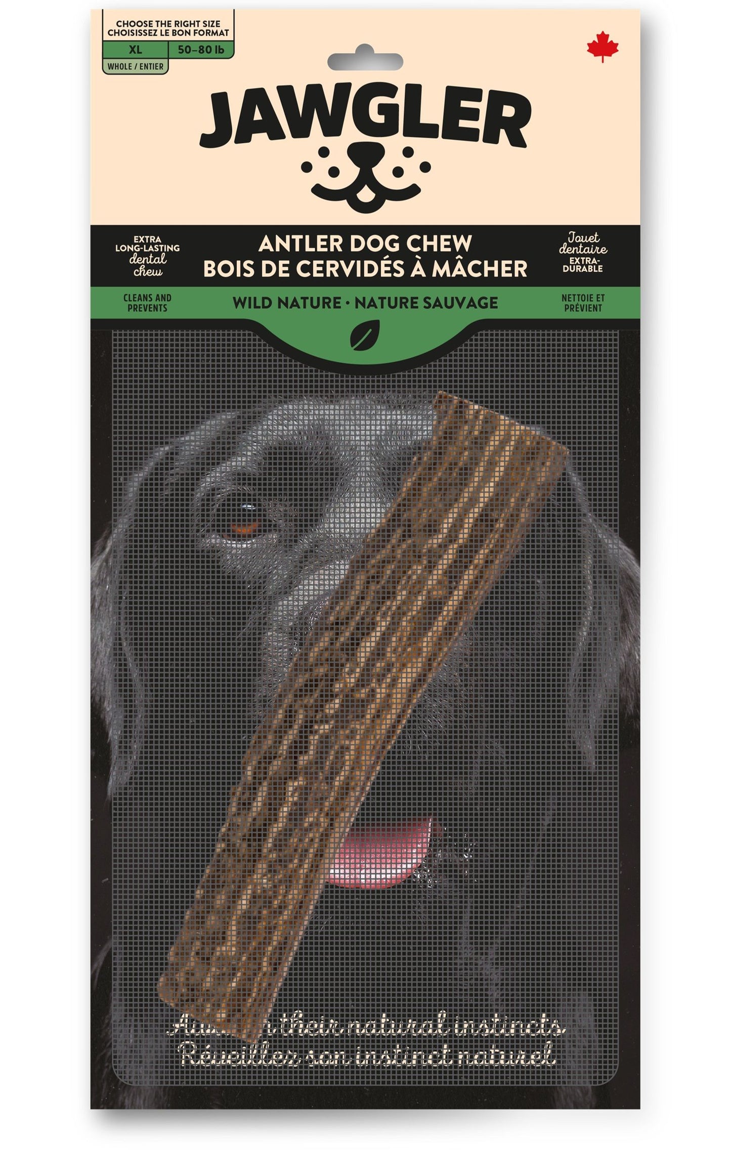 Jawgler (Dentler) Bois Cervidés Entiers Naturels