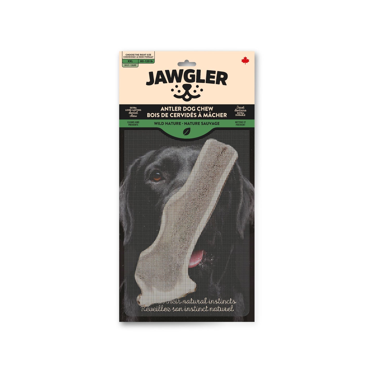 Jawgler (Dentler) Bois de Cervidés Naturel, coupé