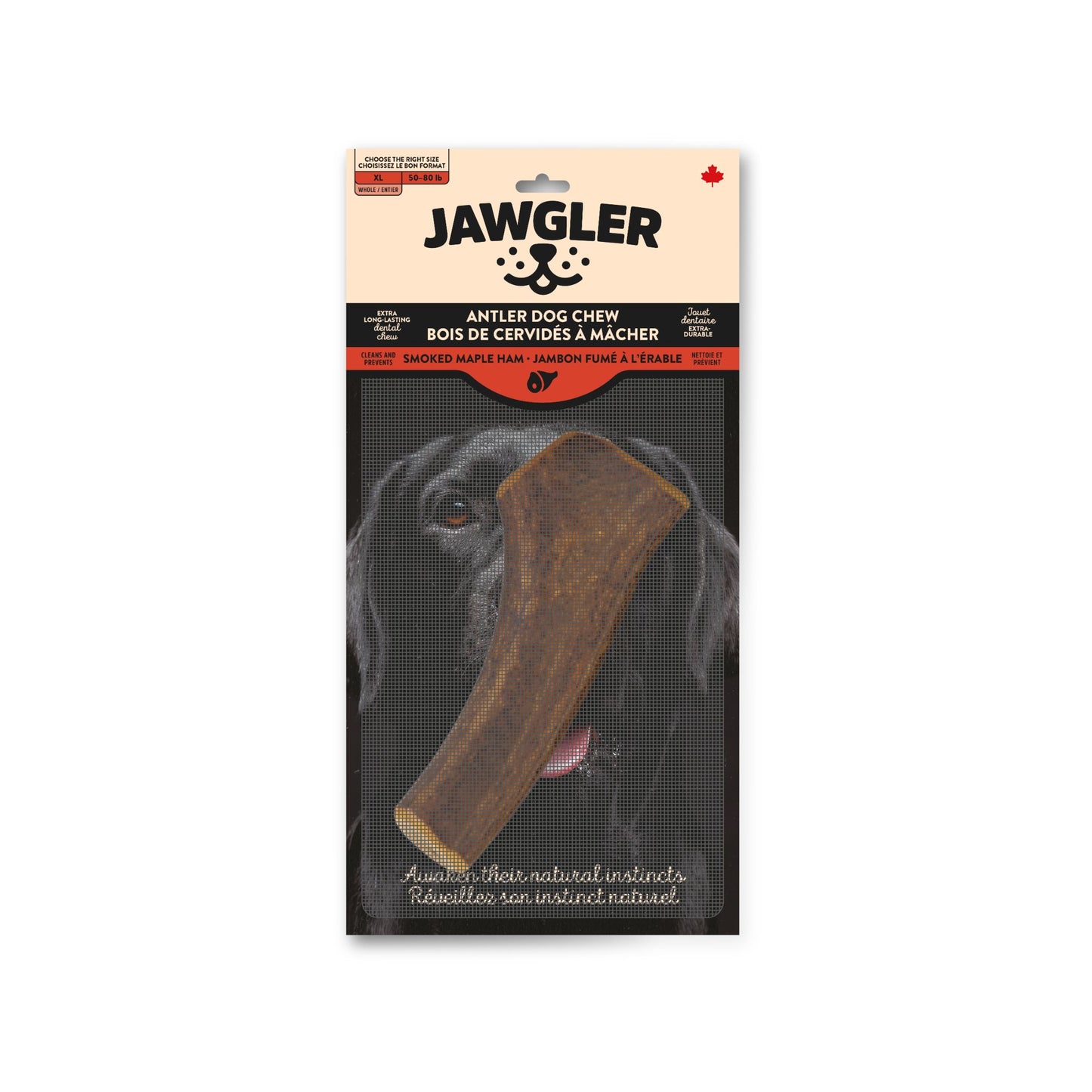 Jawgler (Dentler) Bois Cervidés Entiers Jambon Érable
