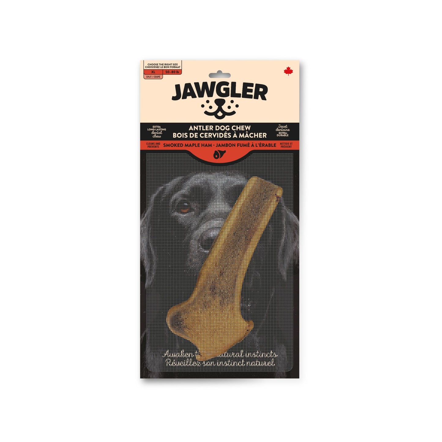 Jawgler (Dentler) Bois Cervidés Coupé Jambon Érable