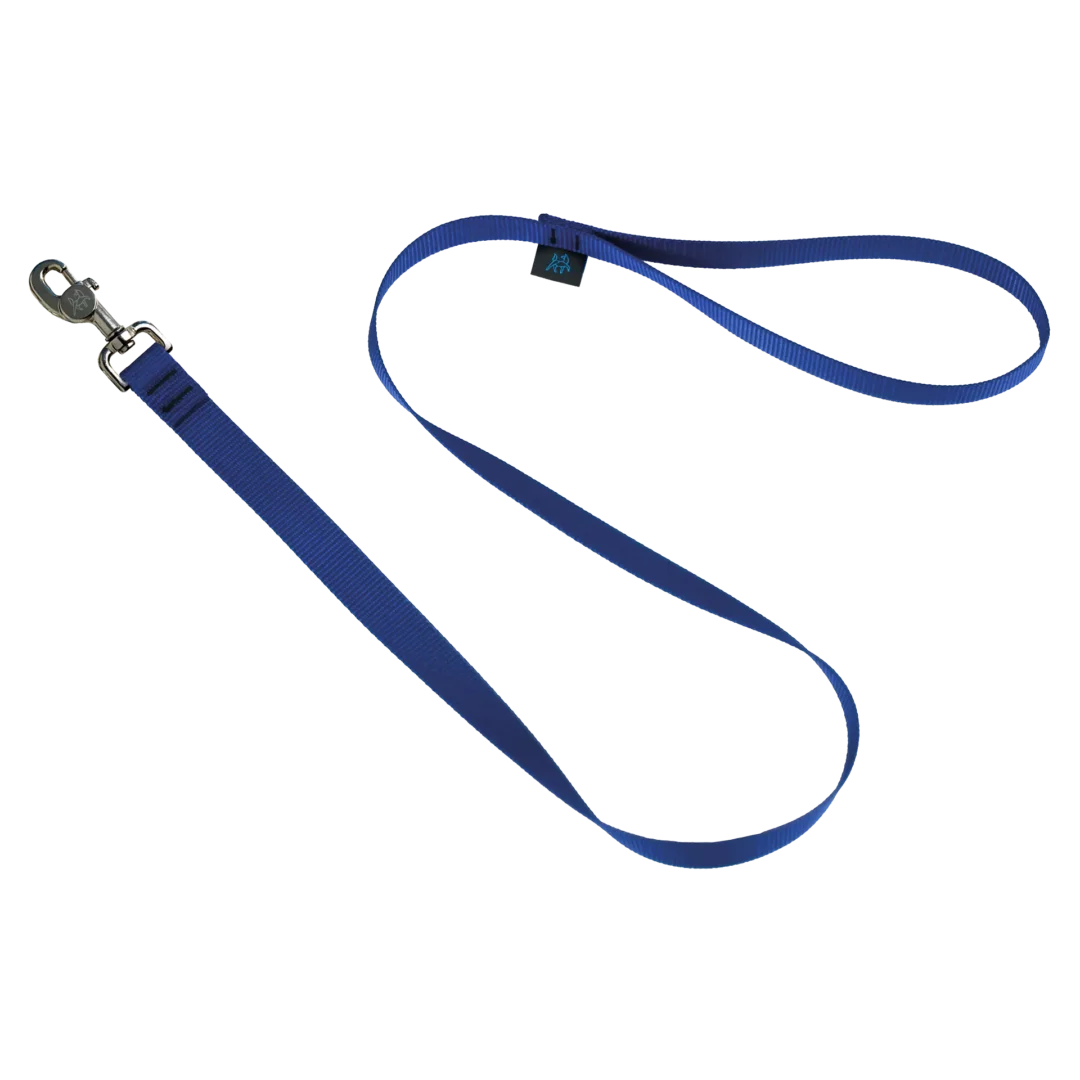 Nahak Laisse Standard pour chien