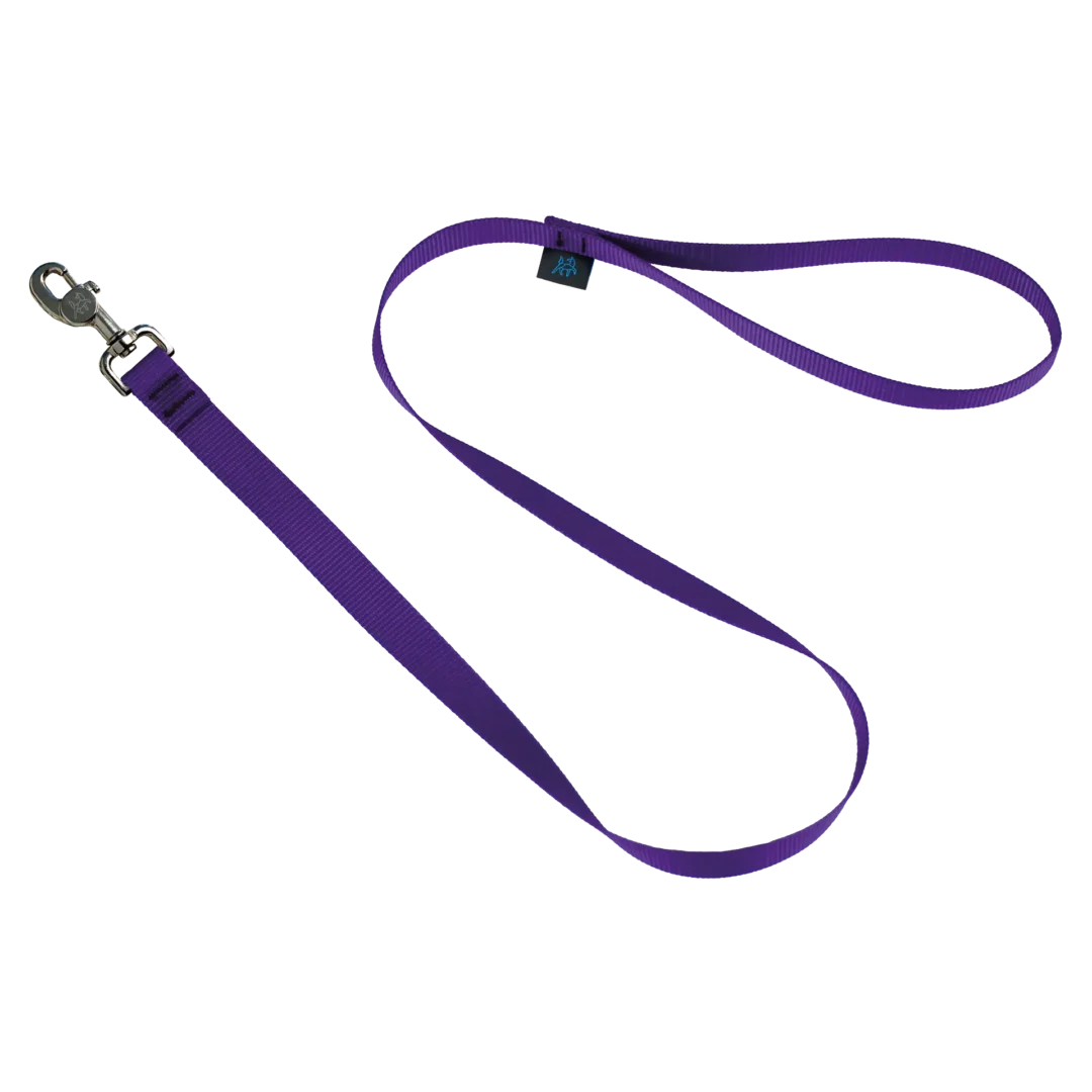 Nahak Laisse Standard pour chien