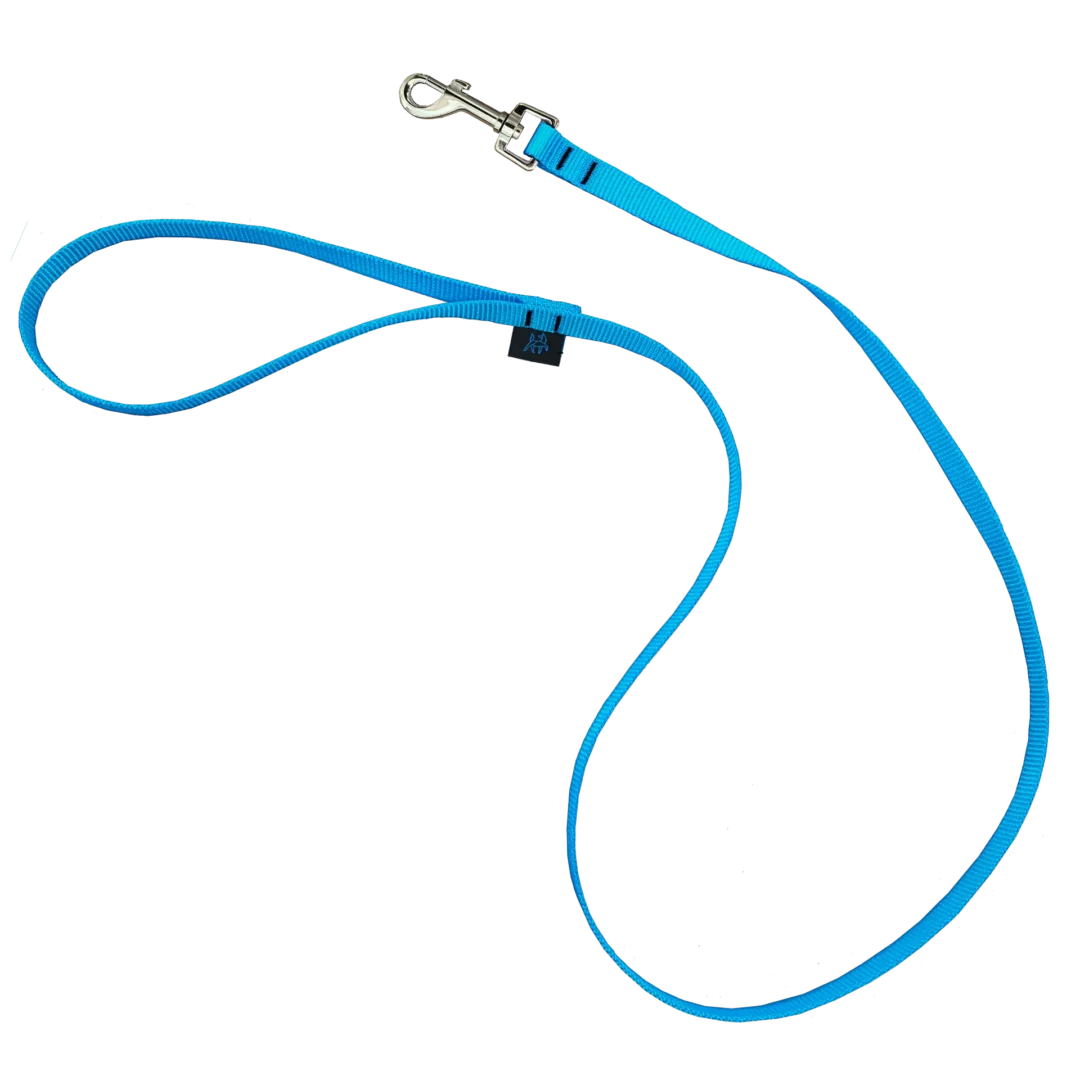 Nahak Laisse Pour Petit Chien