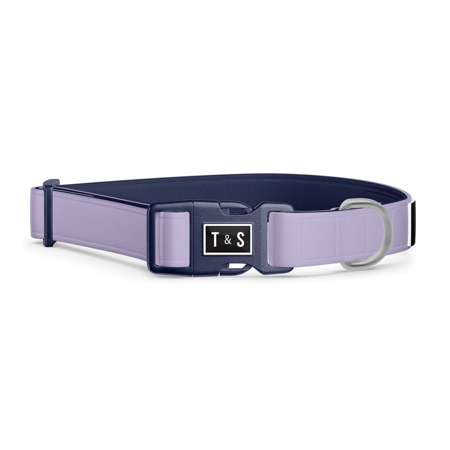 Tella & Stella Collier pour chien Collection Couleur