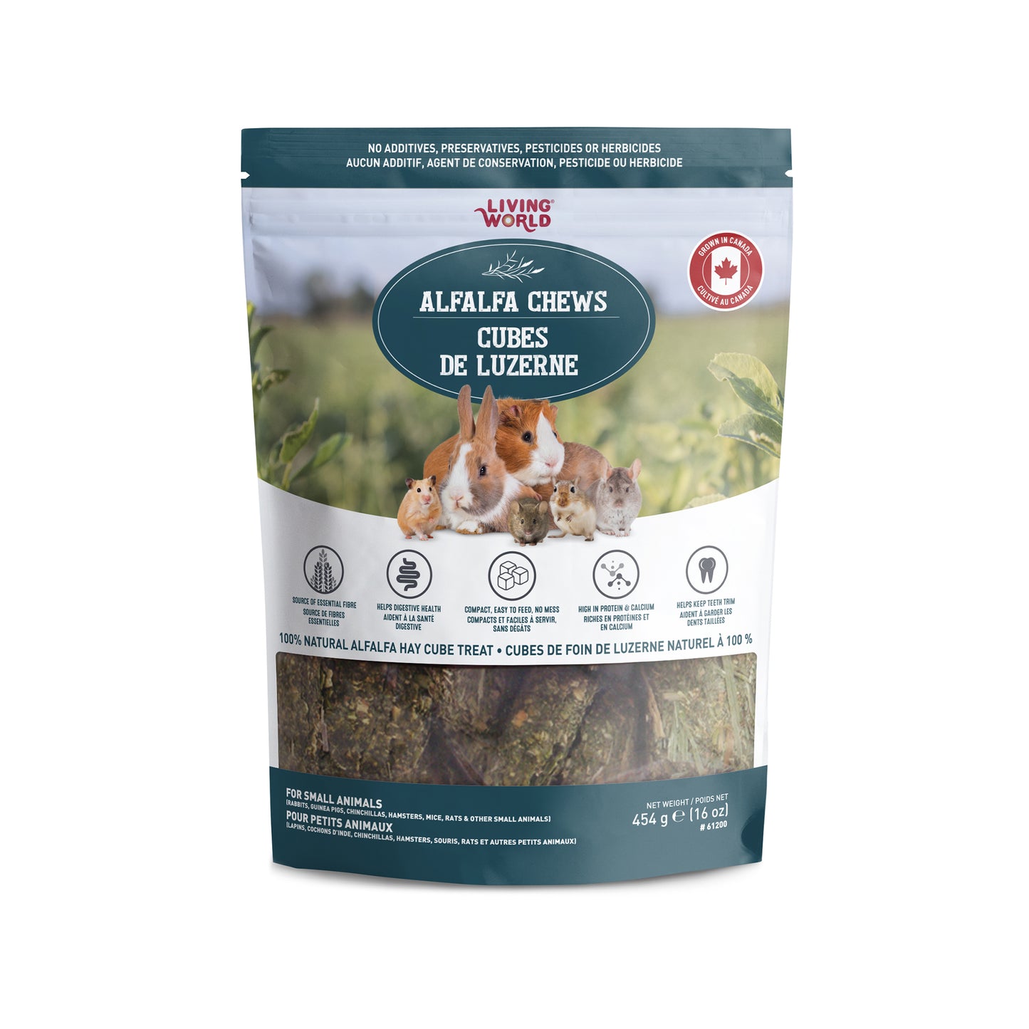 Régals Alfalfa Chews Living World, 454 g (16 oz)