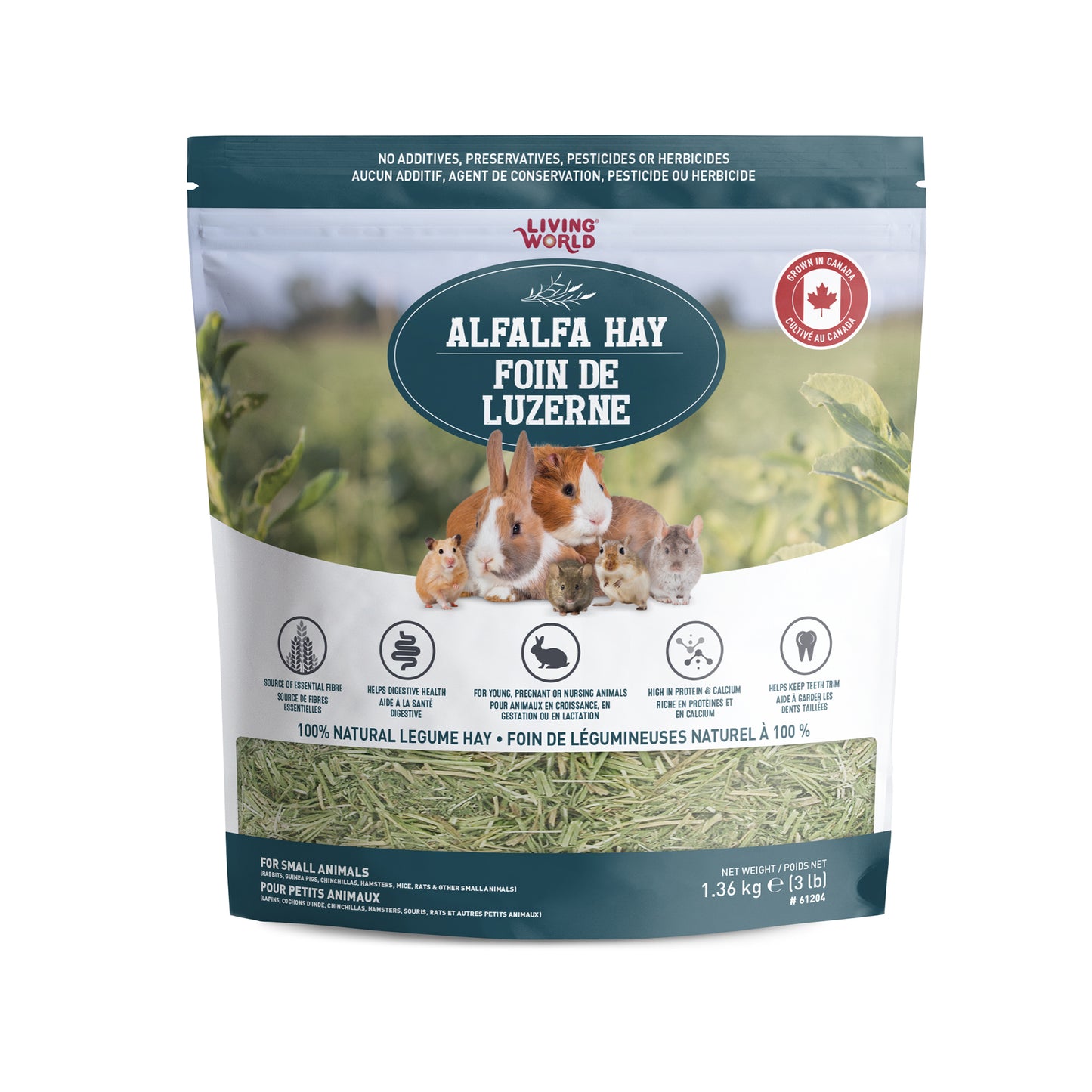 Foin de luzerne Living World, très grand, 1,36 kg (3 lb)