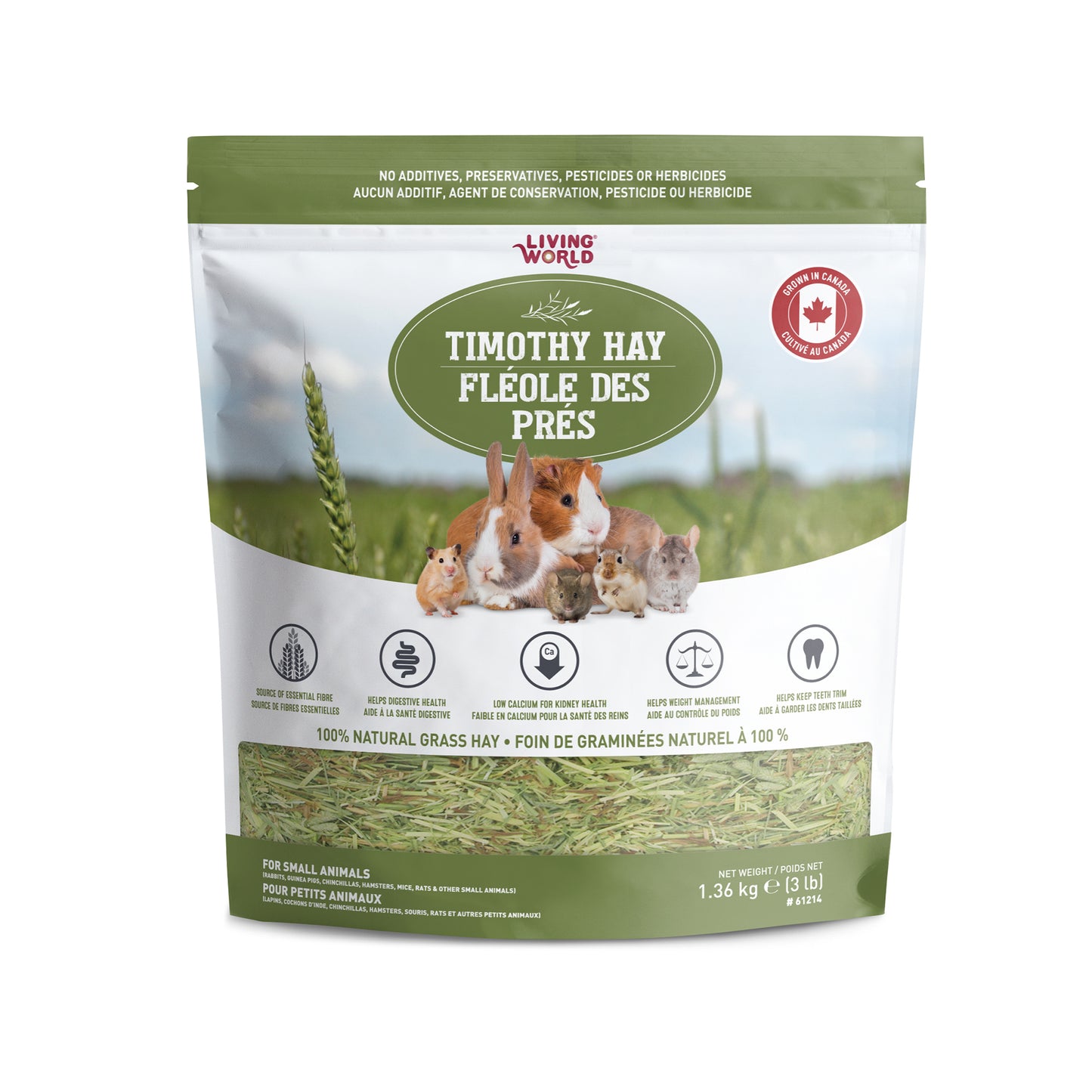 Fléole des prés Living World, très grand, 1,36 kg (3 lb)