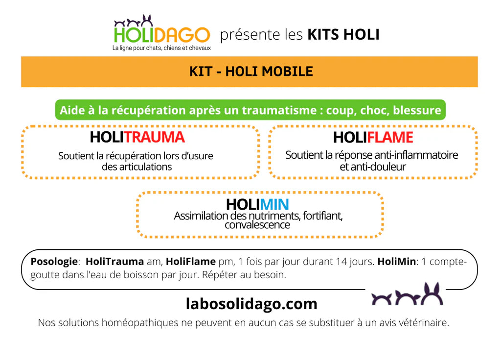 Holidago Kit Holi-Mobile
