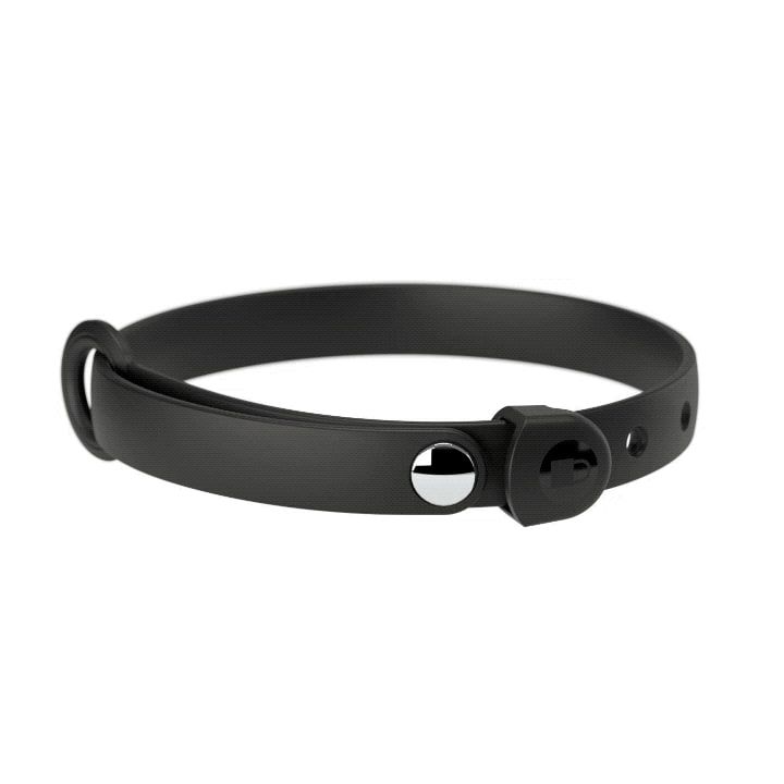 Nuvuq Collier Ajustable Pour Chien