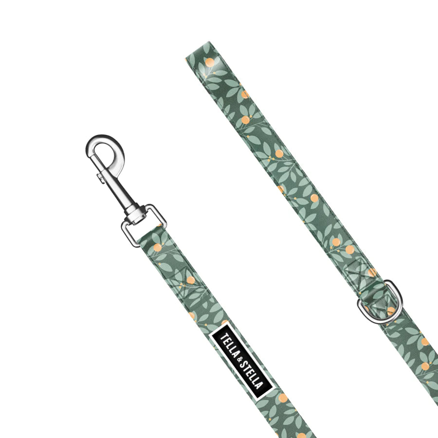 Tella & Stella Laisse Pour Chien Collection Motif
