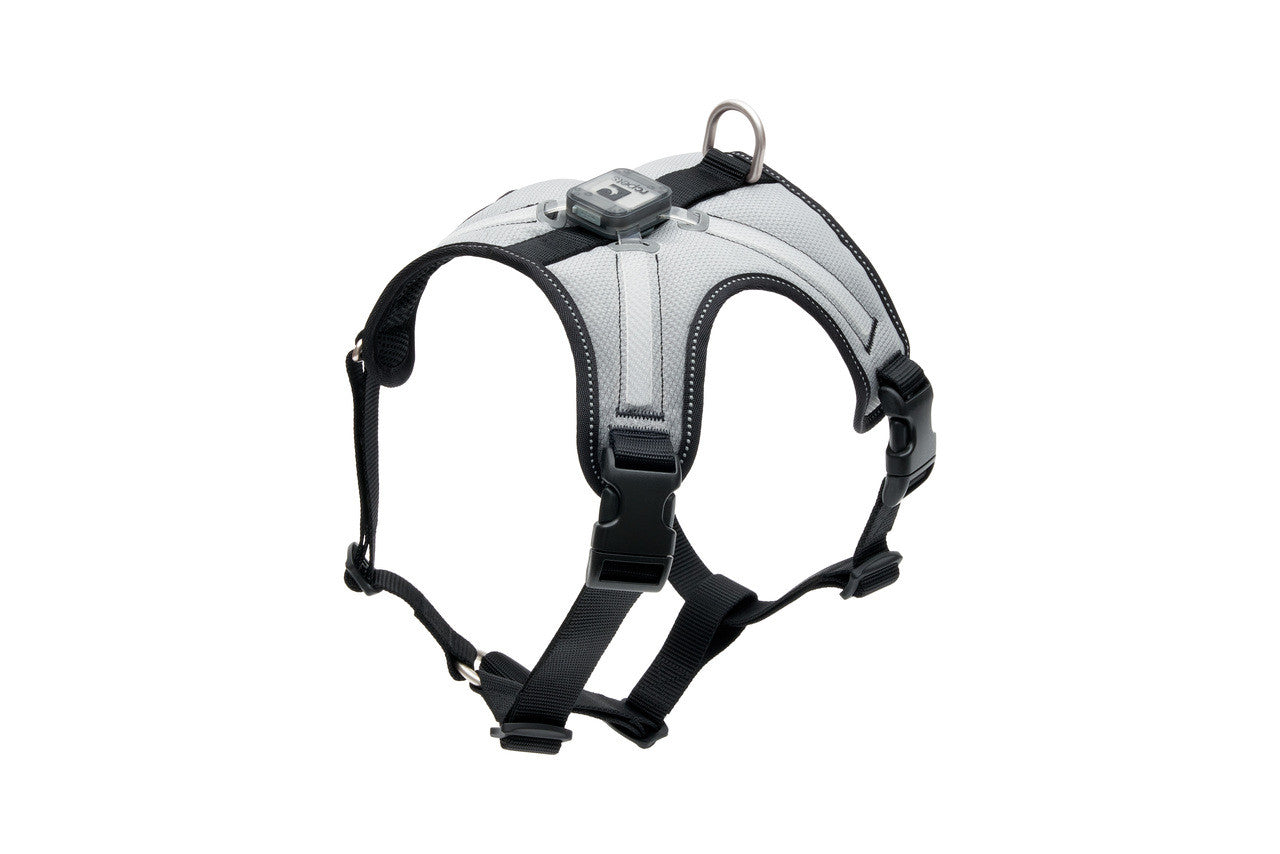 Rc Pets Nova LED Harnais Lumineux Noir/Gris Moyen