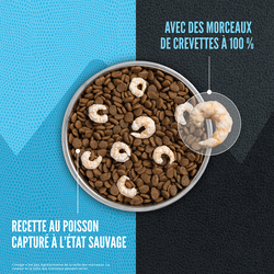 ORIJEN Wild Reserve Recette au poisson capturé a l'était sauvage 1,8 kg