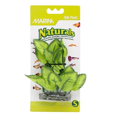Plante d’avant-plan Naturals Marina en soie, verte, 12,5-15 cm (5-6 po)