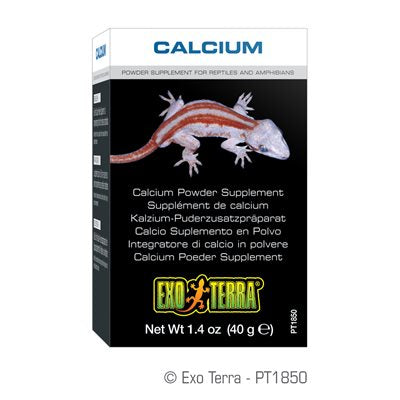 Supplément de calcium Exo Terra en poudre, 40 g (1,4 oz)