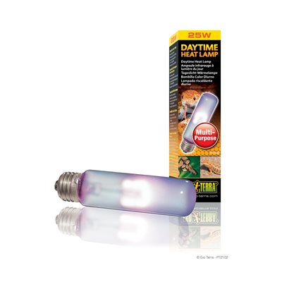 Ampoule infrarouge Exo Terra à lumière du jour, T10, 25 W
