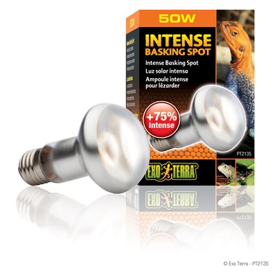 Ampoule Intense Exo Terra pour lézarder, S20, 50 W