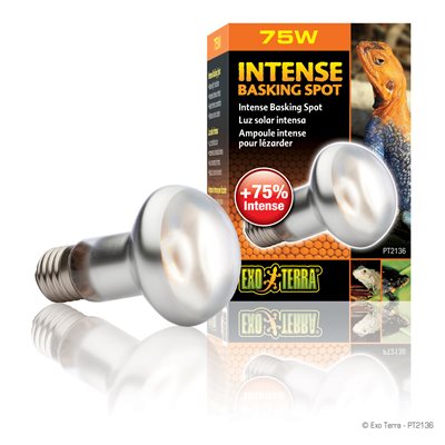 Exo Terra Day-Glo Lampe De Chauffage 63Mm 75W