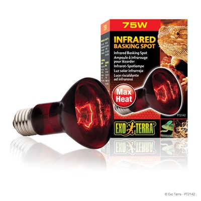Exo Terra Heat-Glo Lampe Infrarouge Nocturne 75W